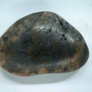Dinosaur Gastrolith or Gizzard Stone For Sale from Utah #17 - 2.28" long