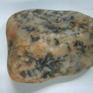 Dinosaur Gastrolith or Gizzard Stone For Sale from Utah #20 -