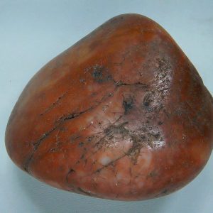 Dinosaur Gastrolith or Gizzard Stone For Sale from Utah #22 - 2.24" long