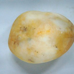 Dinosaur Gastrolith or Gizzard Stone For Sale from Utah #23