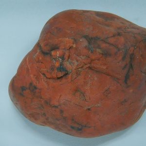 Dinosaur Gastrolith or Gizzard Stone For Sale from Utah #27