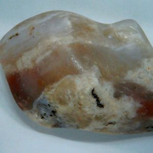 Dinosaur Gastrolith or Gizzard Stone For Sale from Utah #34 - 2.82" long
