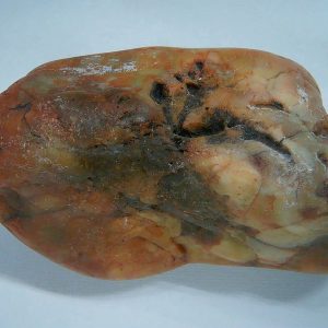 Dinosaur Gastrolith or Gizzard Stone For Sale from Utah #38 - 2.98" long