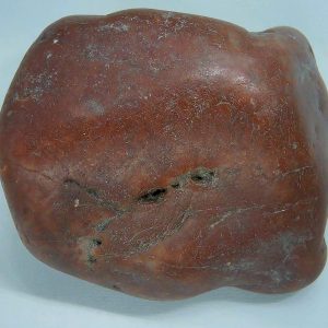 Dinosaur Gastrolith or Gizzard Stone For Sale from Utah #39 - 2.52" long