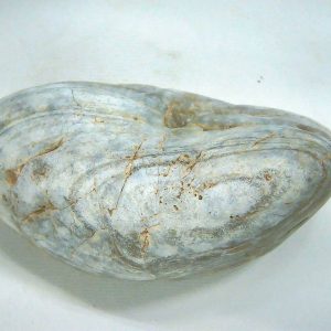 Dinosaur Gastrolith or Gizzard Stone For Sale from Utah #43 - 2.57" long