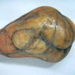 Dinosaur Gastrolith or Gizzard Stone For Sale from Utah #46 - 2.54" long