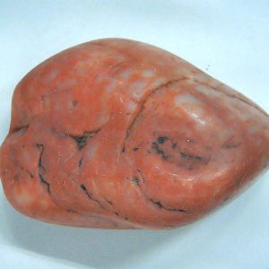 Dinosaur Gastrolith or Gizzard Stone For Sale from Utah #47 - 2.39" long
