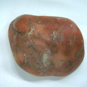 Dinosaur Gastrolith or Gizzard Stone For Sale from Utah #49 - 2.14" long