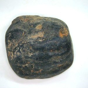 Dinosaur Gastrolith or Gizzard Stone For Sale from Utah #51 - 1.68" long