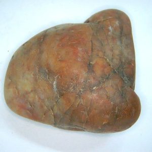 Dinosaur Gastrolith or Gizzard Stone For Sale from Utah #57 - 2.21" long