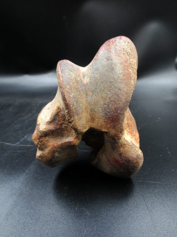 Florida Pleistocene Equus Horse Femur 1c | Fossils for Sale