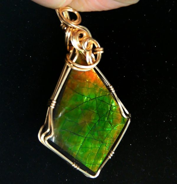 Gem Ammolite Pendant 14k Gold Wire Wrapped 6a | Fossils for Sale
