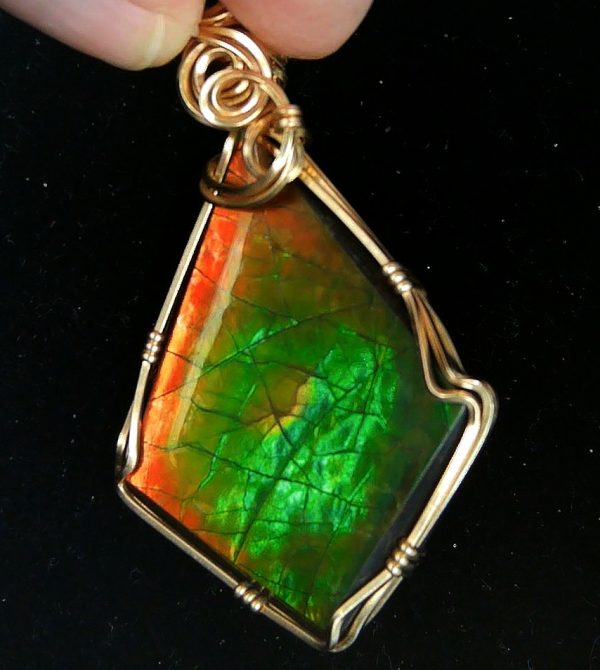 Gem Ammolite Pendant 14k Gold Wire Wrapped 6b | Fossils for Sale