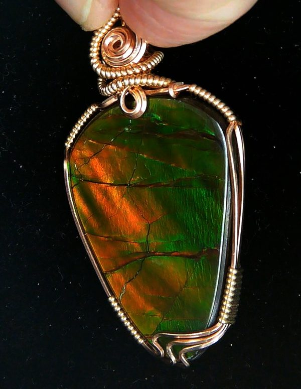 Gem Ammolite Pendant 14k Gold Wire Wrapped 7b | Fossils for Sale