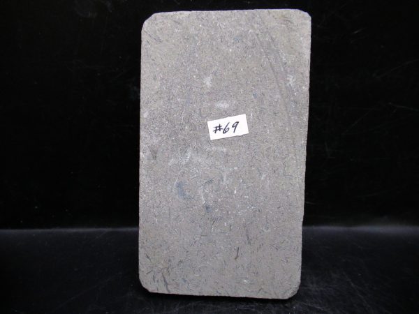 Indiana Mississippian Crawfordsville Crinoid 184c | Fossils for Sale