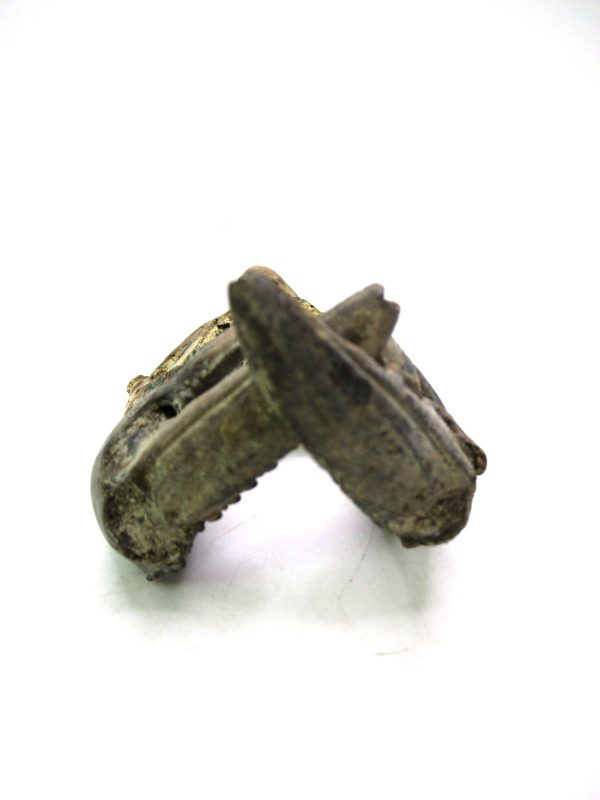 Indonesia Miocene Thalasinna Mangrove Lobster 1b | Fossils for Sale