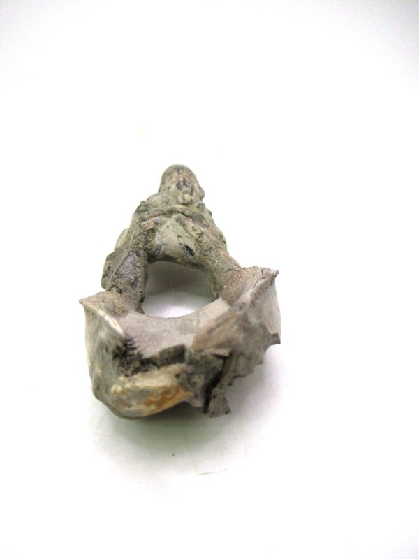 Indonesia Miocene Thalasinna Mangrove Lobster 3b | Fossils for Sale