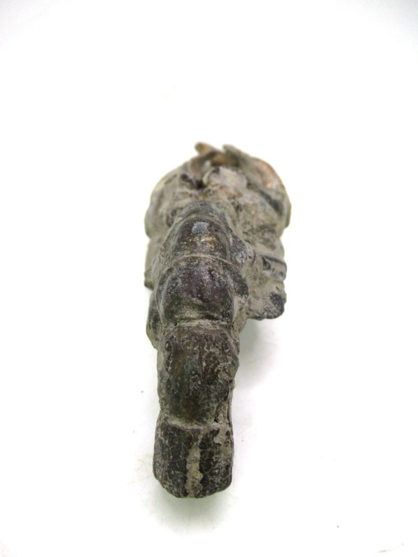 Indonesia Miocene Thalasinna Mangrove Lobster 4d | Fossils for Sale