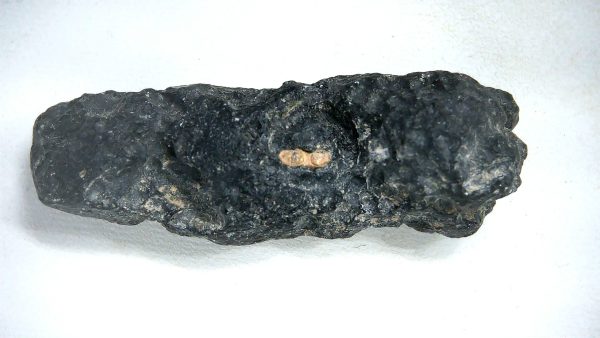 Vietnam Indochinite Australasian Tektite 1 | Fossils for Sale Genuine Indochinite Australasian Tektite For Sale from Vietnam #1