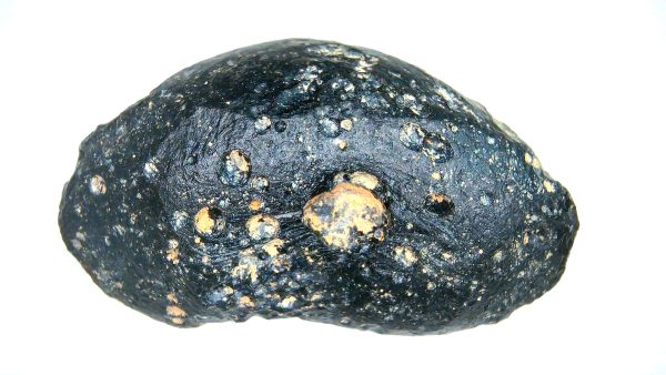 Vietnam Indochinite Australasian Tektite 15b | Fossils for Sale Genuine Indochinite Australasian Tektite For Sale from Vietnam #15b