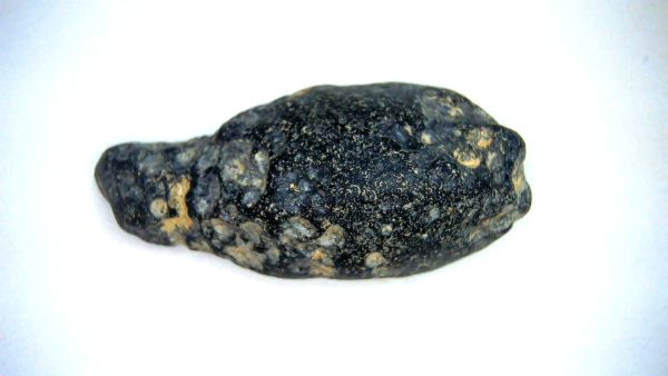 Vietnam Indochinite Australasian Tektite 16 | Fossils for Sale Genuine Indochinite Australasian Tektite For Sale from Vietnam #16