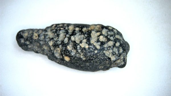 Vietnam Indochinite Australasian Tektite 16a | Fossils for Sale Genuine Indochinite Australasian Tektite For Sale from Vietnam #16a