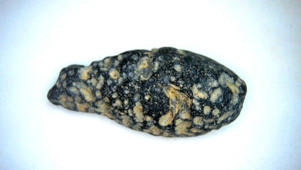 Vietnam Indochinite Australasian Tektite 16b | Fossils for Sale Genuine Indochinite Australasian Tektite For Sale from Vietnam #16b
