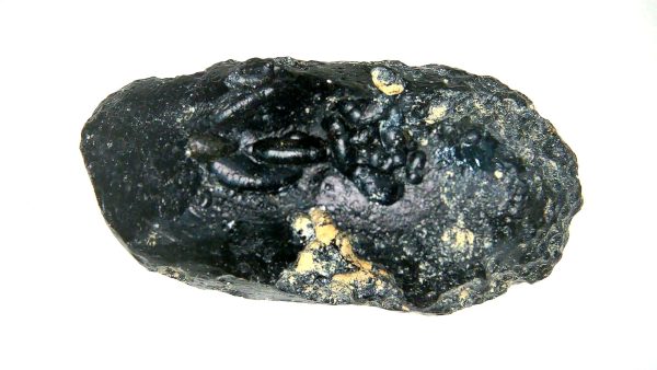 Vietnam Indochinite Australasian Tektite 3 | Fossils for Sale Genuine Indochinite Australasian Tektite For Sale from Vietnam #3