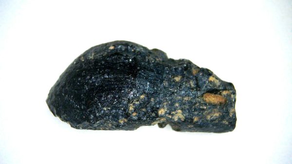 Vietnam Indochinite Australasian Tektite 32a | Fossils for Sale Genuine Indochinite Australasian Tektite For Sale from Vietnam #32a