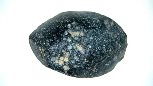 Vietnam Indochinite Australasian Tektite 35 | Fossils for Sale Genuine Indochinite Australasian Tektite For Sale from Vietnam #35