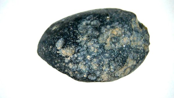 Vietnam Indochinite Australasian Tektite 35b | Fossils for Sale Genuine Indochinite Australasian Tektite For Sale from Vietnam #35a