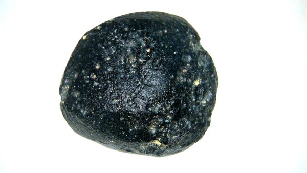 Vietnam Indochinite Australasian Tektite 37 | Fossils for Sale Genuine Indochinite Australasian Tektite For Sale from Vietnam #37