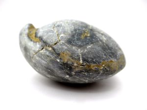 Burma-Devonian-Strinocephalus-Brachiopod | Fossils for Sale Burma-Devonian-Strinocephalus-Brachiopod