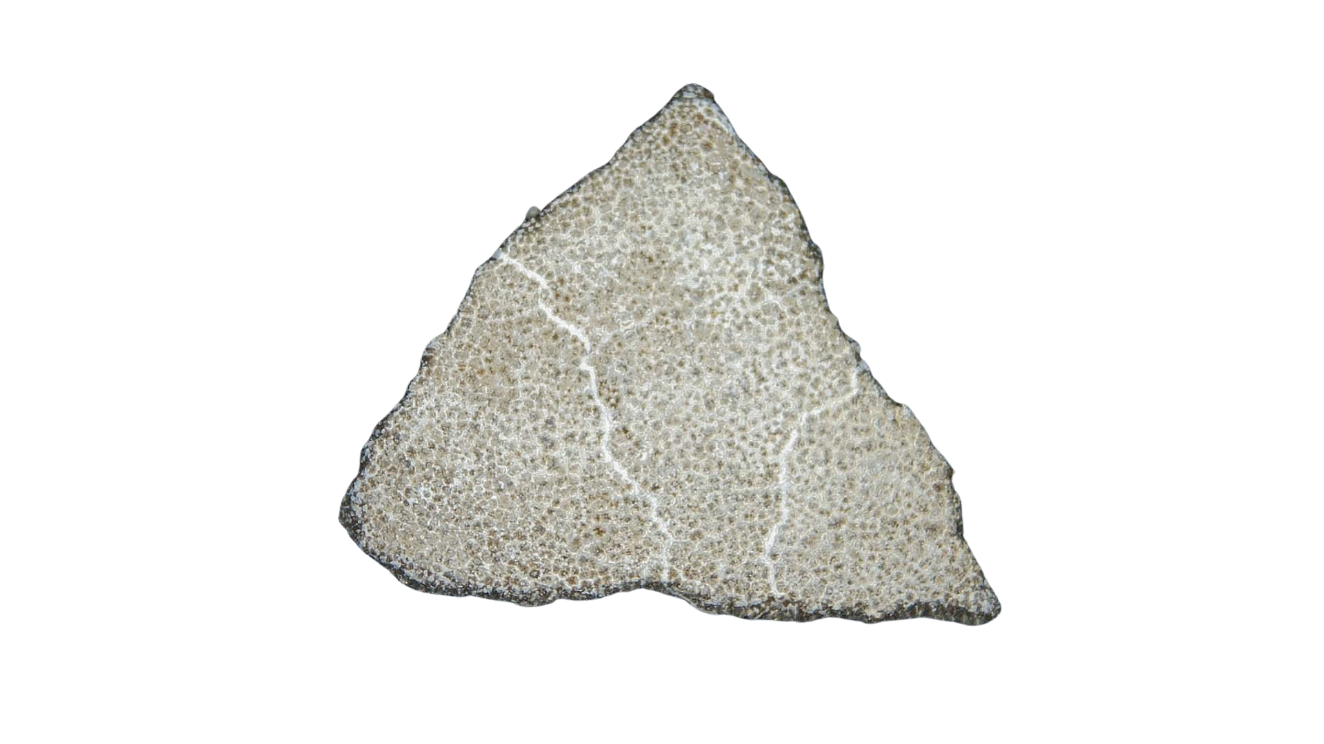 France Cretaceous Titanosaur Dinosaur Egg Shell 10a | Fossils for Sale