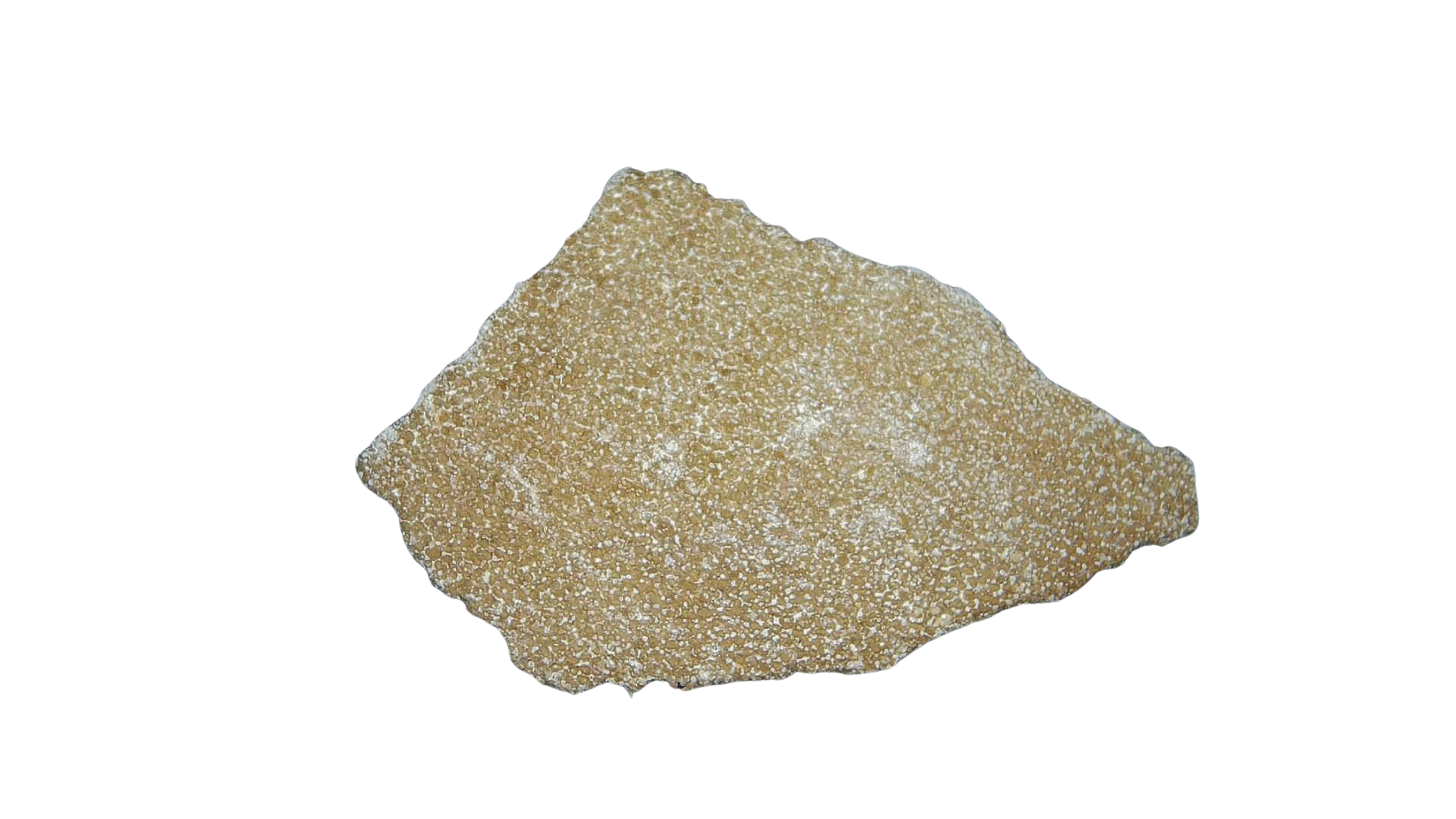 France Cretaceous Titanosaur Dinosaur Egg Shell 12 | Fossils for Sale