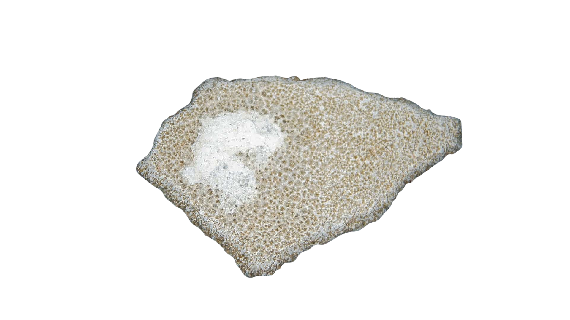 France Cretaceous Titanosaur Dinosaur Egg Shell 12a | Fossils for Sale