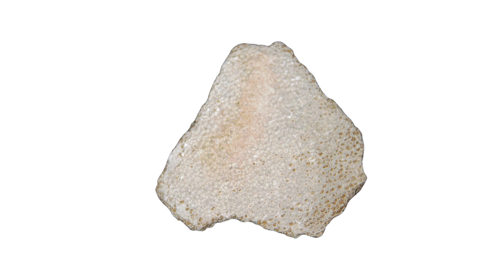 France Cretaceous Titanosaur Dinosaur Egg Shell 3 | Fossils for Sale