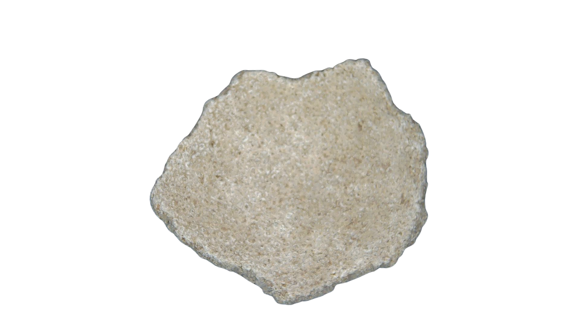 France Cretaceous Titanosaur Dinosaur Egg Shell 5a | Fossils for Sale