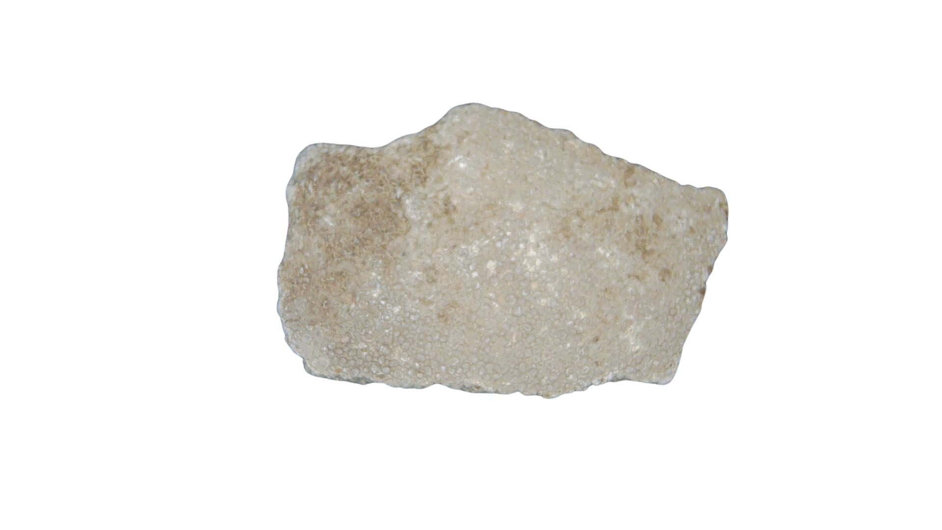 France Cretaceous Titanosaur Dinosaur Egg Shell 6 | Fossils for Sale