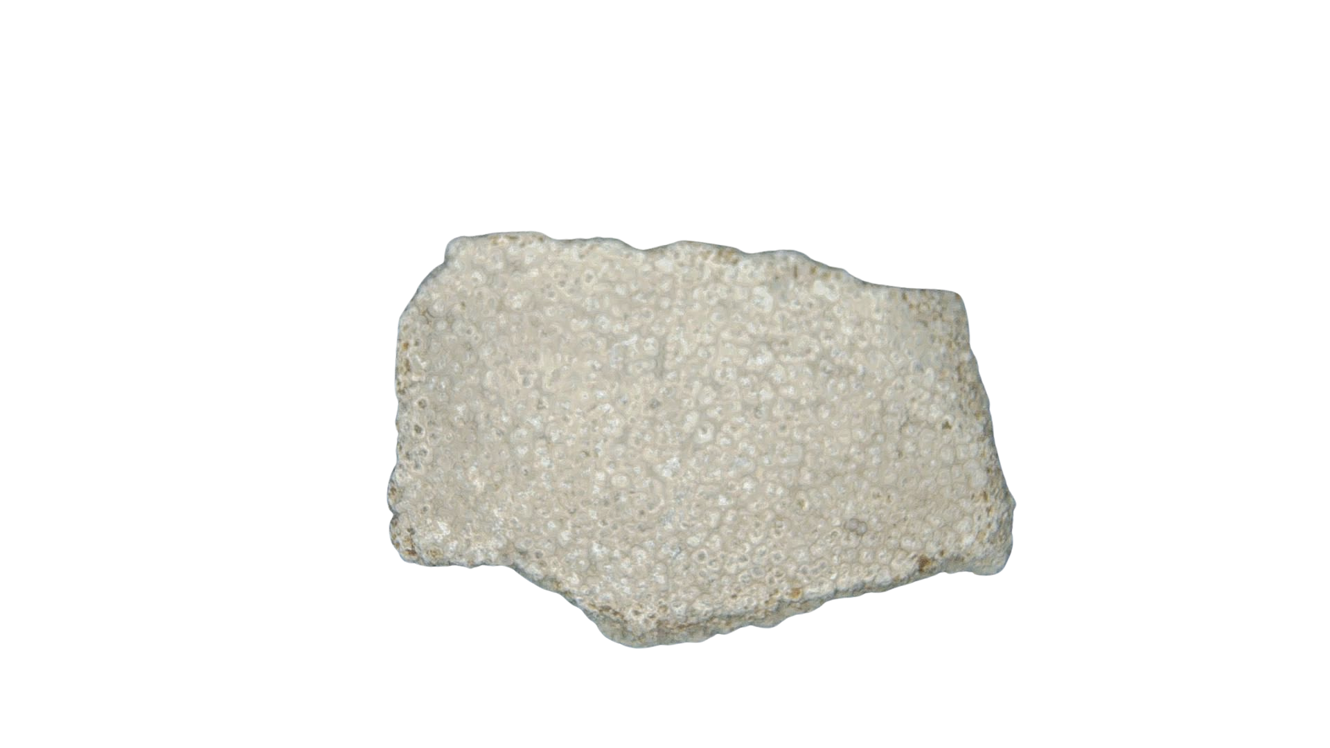 France Cretaceous Titanosaur Dinosaur Egg Shell 6a | Fossils for Sale