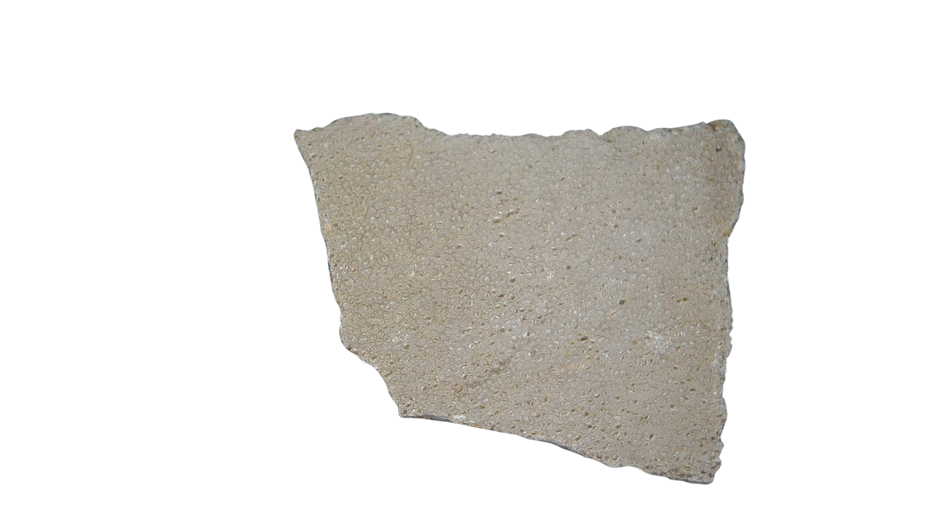 France Cretaceous Titanosaur Dinosaur Egg Shell 7 | Fossils for Sale