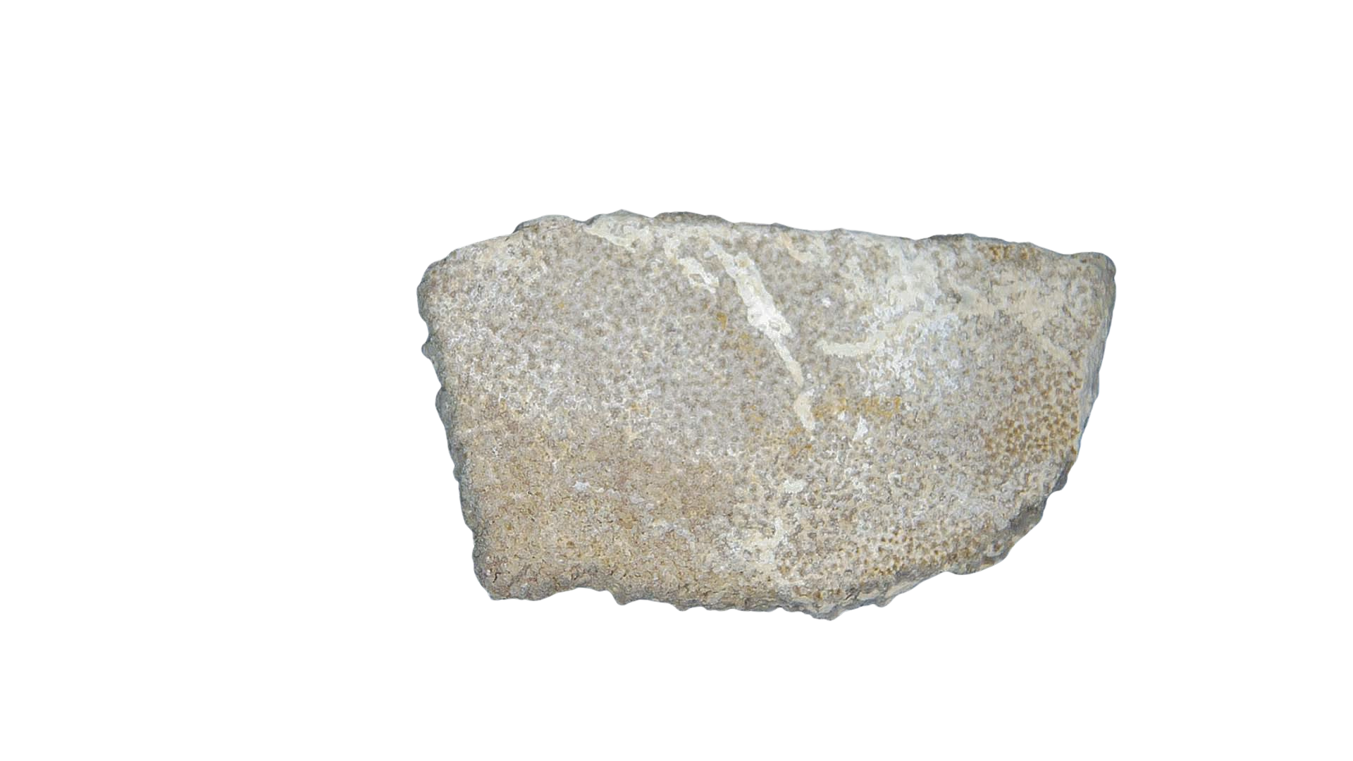 France Cretaceous Titanosaur Dinosaur Egg Shell 8a | Fossils for Sale