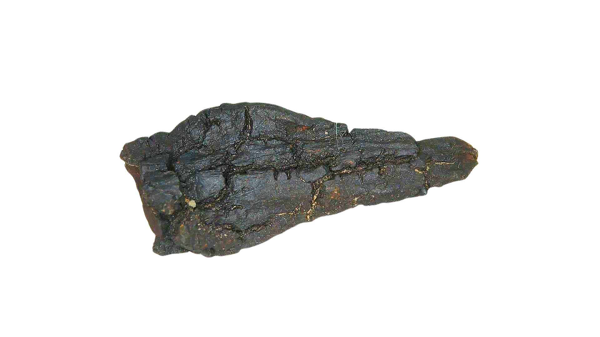 Madagascar Cretaceous Age Turtle Coprolite 25a | Fossils for Sale