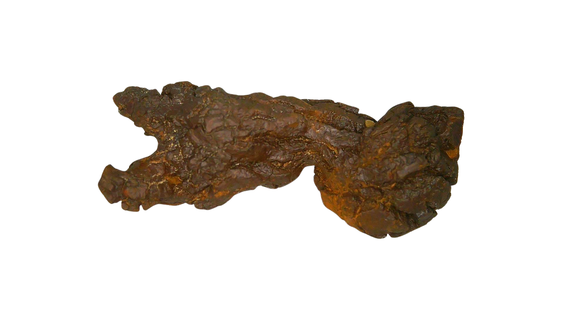 Madagascar Cretaceous Age Turtle Coprolite 28a | Fossils for Sale