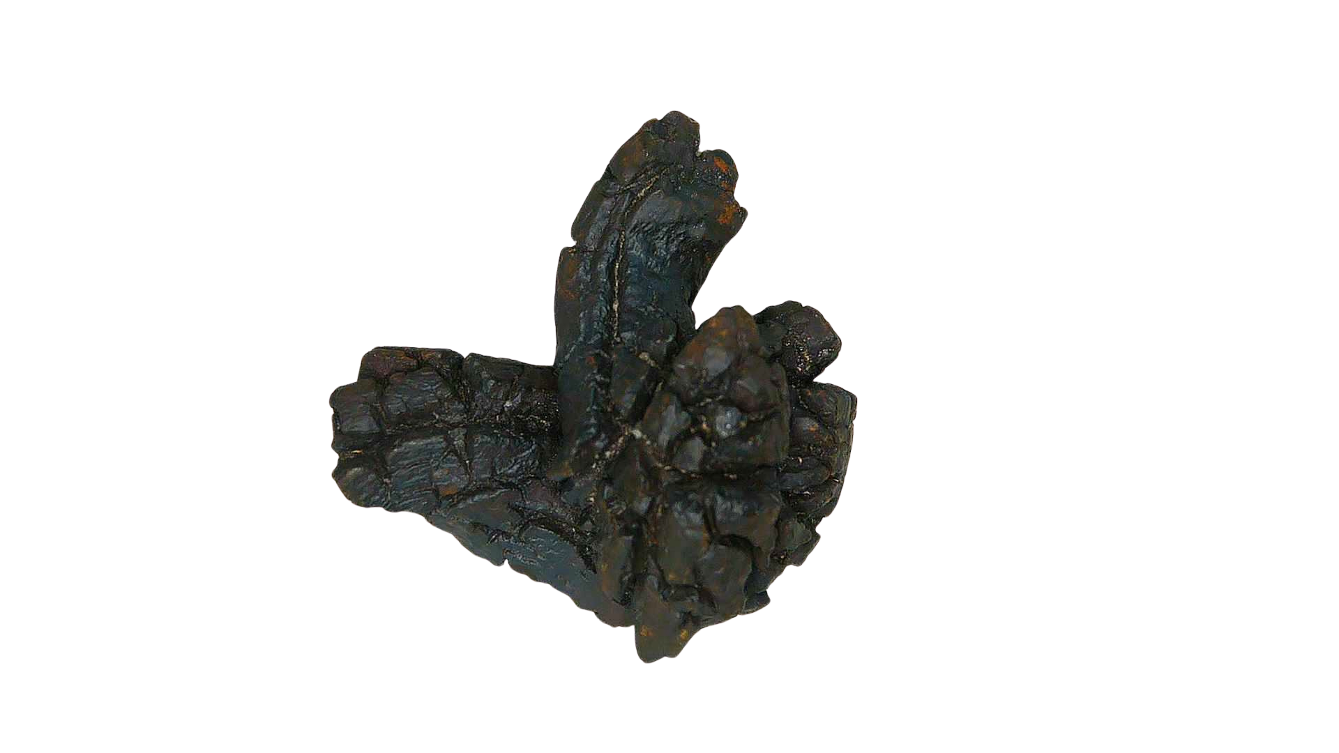 Madagascar Cretaceous Age Turtle Coprolite 29b | Fossils for Sale