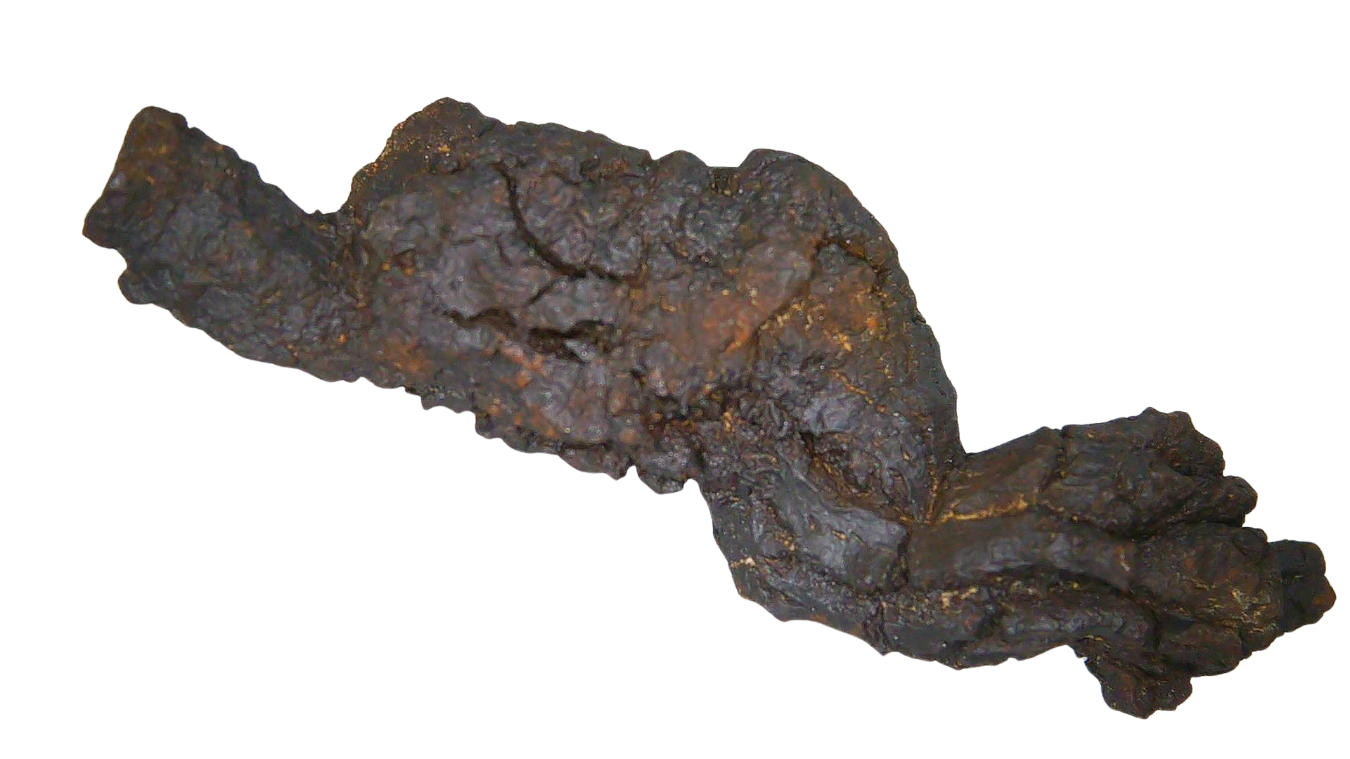 Madagascar Cretaceous Age Turtle Coprolite 32b | Fossils for Sale