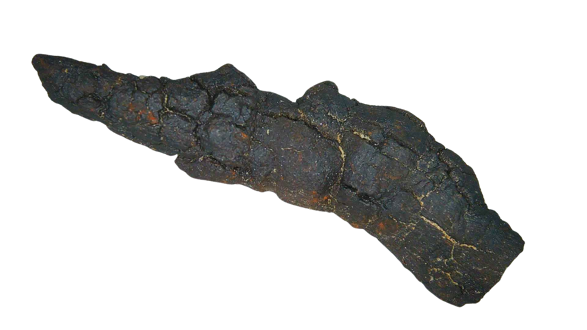 Madagascar Cretaceous Age Turtle Coprolite 33b | Fossils for Sale