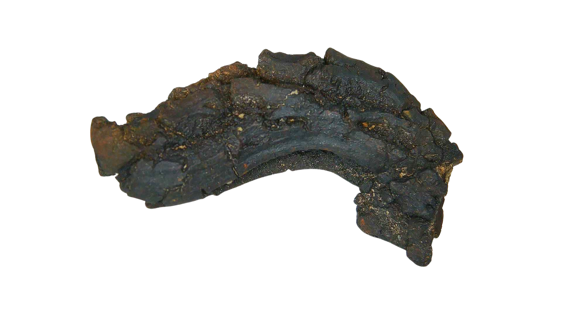 Madagascar Cretaceous Age Turtle Coprolite 34b | Fossils for Sale