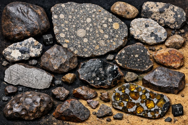 NWA Meteorites | Fossils for Sale Buy Meteorites - Meteorites for Sale