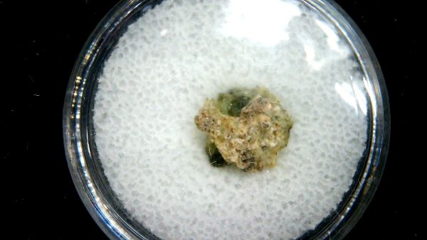 New Mexico Trinity Nuclear Bomb Test - Trinitite 79a | Fossils for Sale